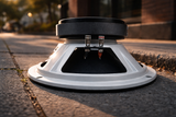 RESILIENT SOUNDS RS 10M 300w rms 4ohm 10" speaker