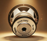 RS ENTRY 12" 500RMS