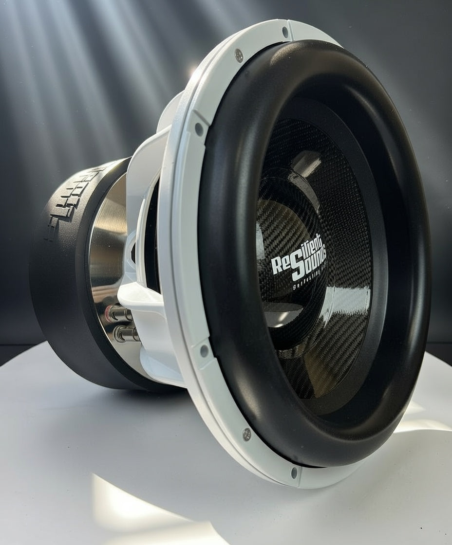 RS 10 V2 600RMS ENTRY WOOFER – Resilient Sounds Shop