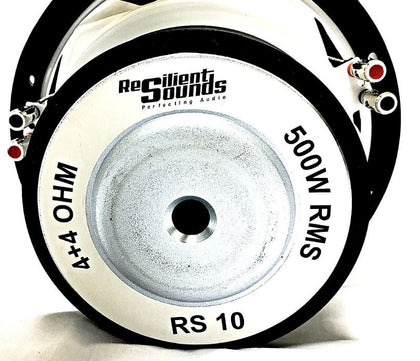 RS ENTRY 10" 500RMS
